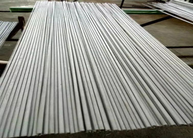 Tubatura senza cuciture multiuso ASTM A312 TP310S di acciaio inossidabile